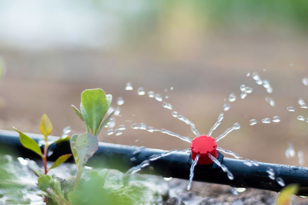 How to Install Drip Irrigation in Your Garden